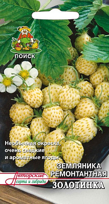 Земляника Поиск ремонтантная Золотинка А ЦВ 100 шт