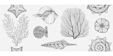 Плитка настенная Gracia Ceramica Aqua white wall 01 25*60 см 1 сорт