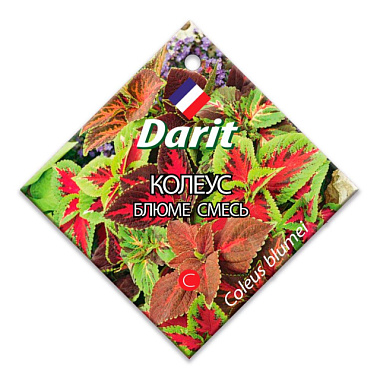 Колеус Darit Блюме смесь семена 0,1 г 110009