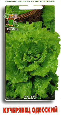 Салат Поиск Кучерявец Одесский ЦВ 1 г