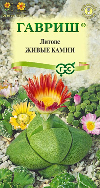 Литопс Гавриш Живые Камни пробирка 5 шт 1999946517