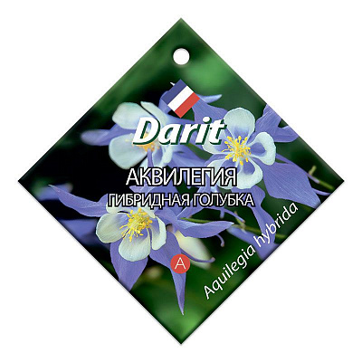 Аквилегия Darit гибридная Голубка семена 0,1 г 5625