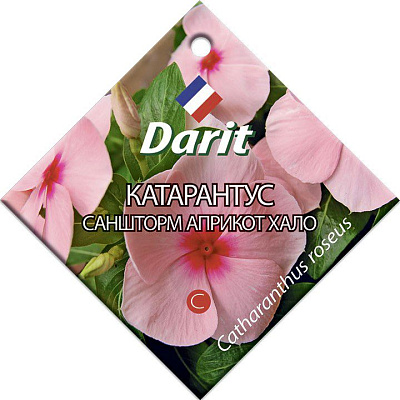 Катарантус Darit Саншторм Априкот Хало семена 10 шт 5688