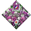 Вечерница Darit Матроны смесь окрасок семена 0,7 г 5682