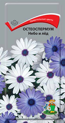 Остеоспермум Поиск Небо и лед ЦВ "1 0,1 гр