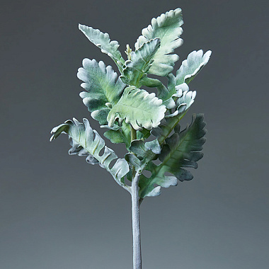 Ветка Крестовник пепельный искусственная декоративная серо-зеленый 38 см 4630270032300