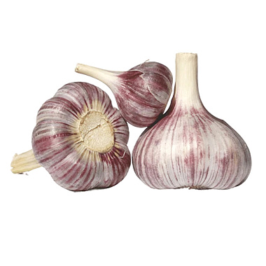 Чеснок озимый Комсомолец 35-55 мм 0,5 кг 4-5 шт/уп