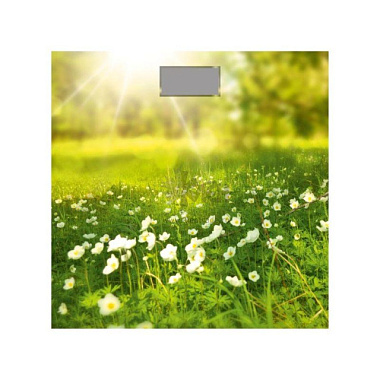 Весы Добрыня электронные поляна 180 кг 3006G