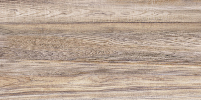 Плитка настенная Alma Ceramica Dublin  249*500 мм TWU09DBL404