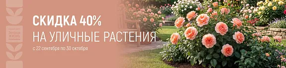 яркая осень в саду