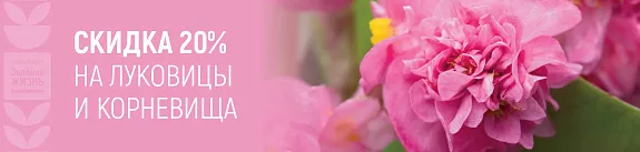 -20% на луковичные растения и корневища