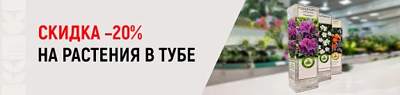 -20% на растения в тубе