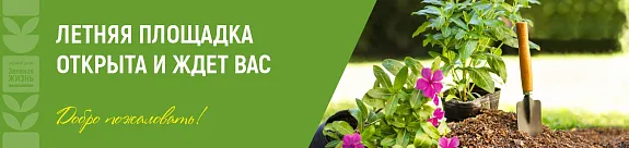 Приглашаем на летнюю площадку