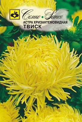 Астра Семко Твиск хризантемовидная