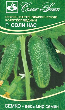Огурец Семко Соли нас F1