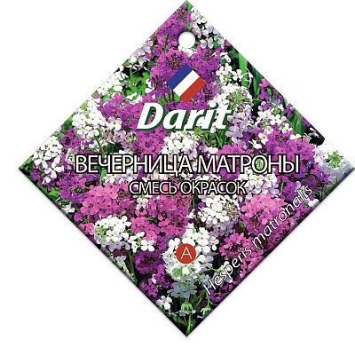 Вечерница Darit Матроны смесь окрасок семена 0,7 г 5682