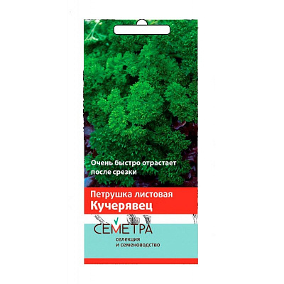 Петрушка Поиск Кучерявец А Семетра 3 г