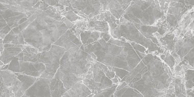 Керамогранит Global Tile Solo_GT полированный серый 60*120 см GT120601301PR*