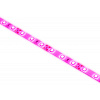 Светодиодная лента для растений Эра FITO-Strip Light-RB-2m красно-синего спектра 2 м IP65 Б0057282