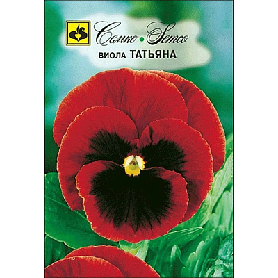 Виола Семко Татьяна