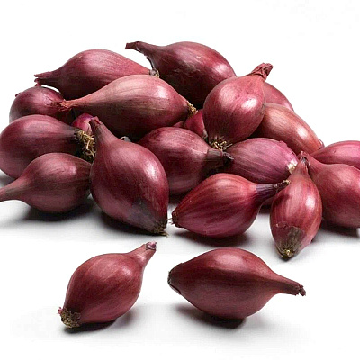 Лук-севок Кармен 8/21 0,5 кг