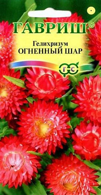 Гелихризум Гавриш Огненный шар 0,2 г