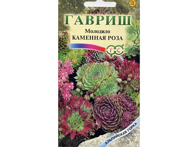 Молодило Гавриш Каменная Роза сер. Альпийская горка 0,01 г***