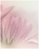 Декобокс Postermarket 40*50 см DC-4045