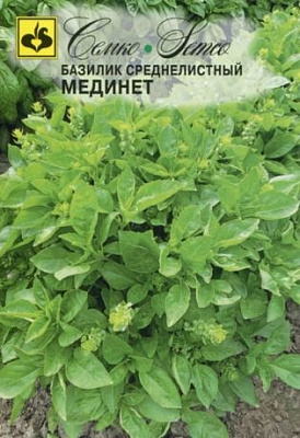 Базилик Семко Мединет