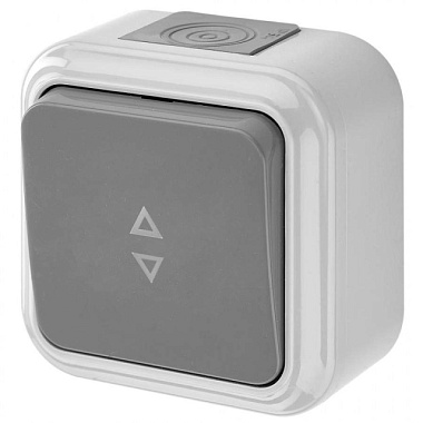 Выключатель Bylectrica Пралеска Аква ОУ 1 кл. 6А проход серый пластик IP54 А6 10-868 (03) 765568