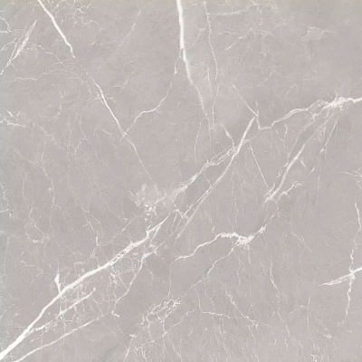 Керамогранит Global Tile Carolina_GT серый 60*60 см GT606012401MR-3***