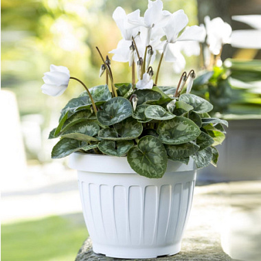 Вазон Bama Терра белый 25 см 34085