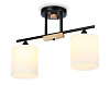 Люстра Ambrella TR9543/2 BK/FR черный/белый матовый E27/2 max 40W 435*120*280