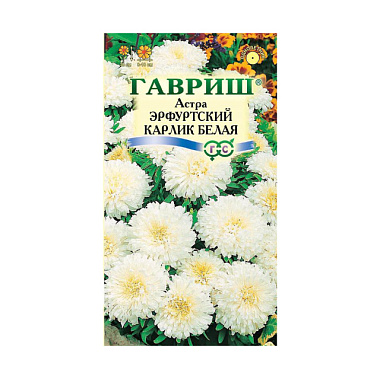 Астра Гавриш Эрфуртский карлик Белая однолетняя 0,3 г 001129