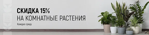 инвестиции в хорошее настроение и уют